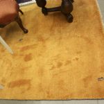 879 4206 CARPET